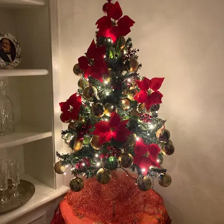 Casa Del Teatro Con Splendida Terrazza Di Fronte Al Teatro Rossini